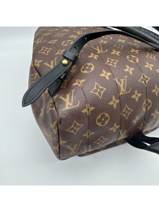 Louis Vuitton Palm Spring Backpack MM Sac main image 8